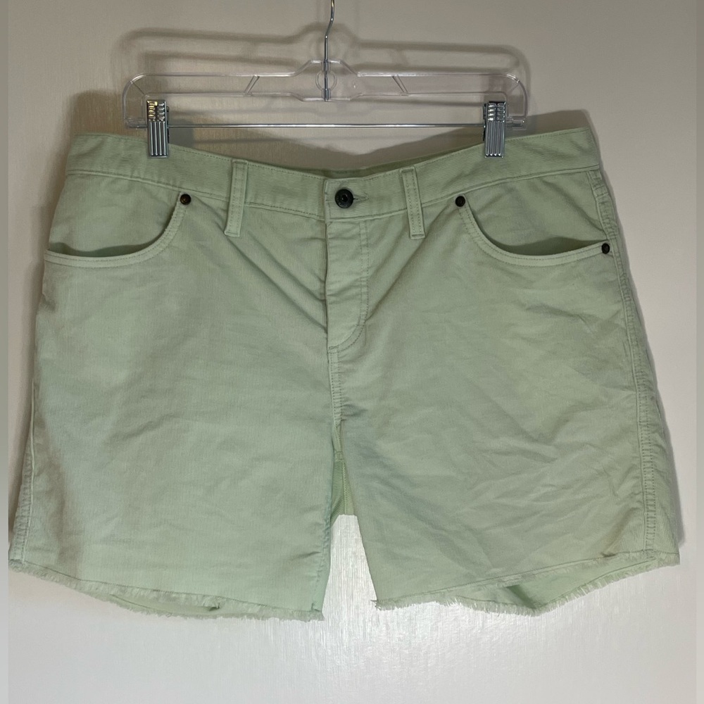 CARVE DESIGNS Sage Green Corduroy Button Detail Shorts Size 12